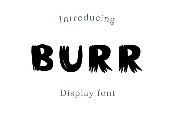 Burr: A Bold Display Typeface for Modern Editorial Design
